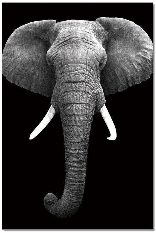 Elephant - Euro Living Furniture